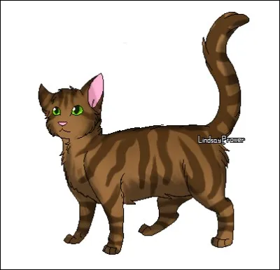 Combien de chats Étoile du Tigre a-t-il tués de son vivant ?