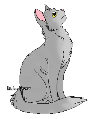 Quel est le nom anglais de Museau Cendré ?