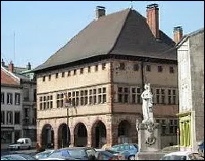 Pouvez-vous le donner le nom des habitants de Rambervillers (Vosges) ?