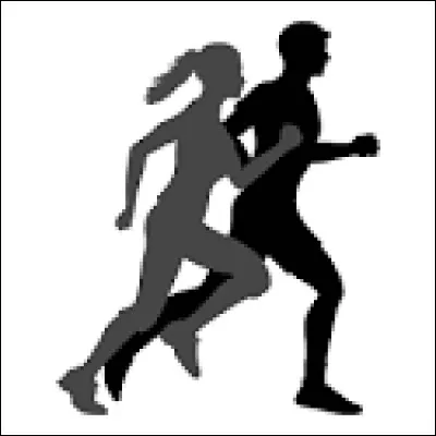 Quelle activité terrestre font-ils?