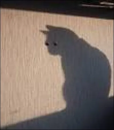 La discussion de qui Cal entend-il ?