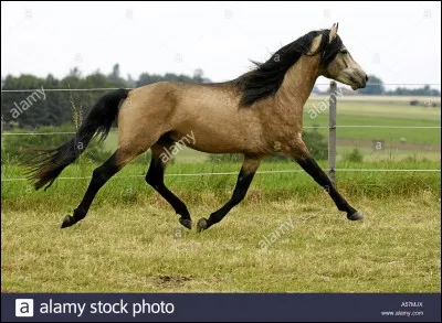 Et le meilleur pour la fin ...