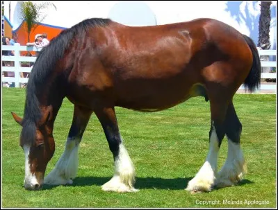 Ouah qui c'est lui ?