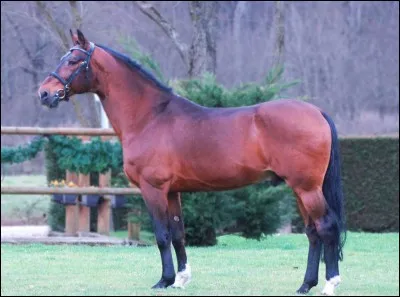 Lui il est compliqué essaye de le trouver.