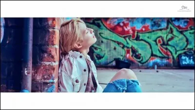 De quel clip provient cette image ?