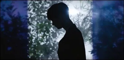 De quel clip provient cette image ?