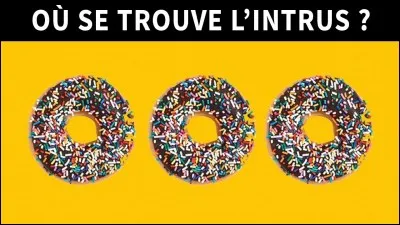 Sélectionnez l'intrus.