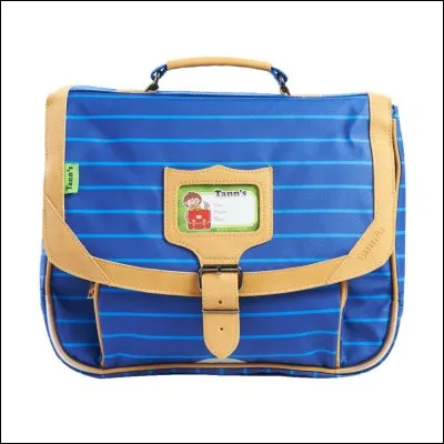 Que voit-on sur l'image ?