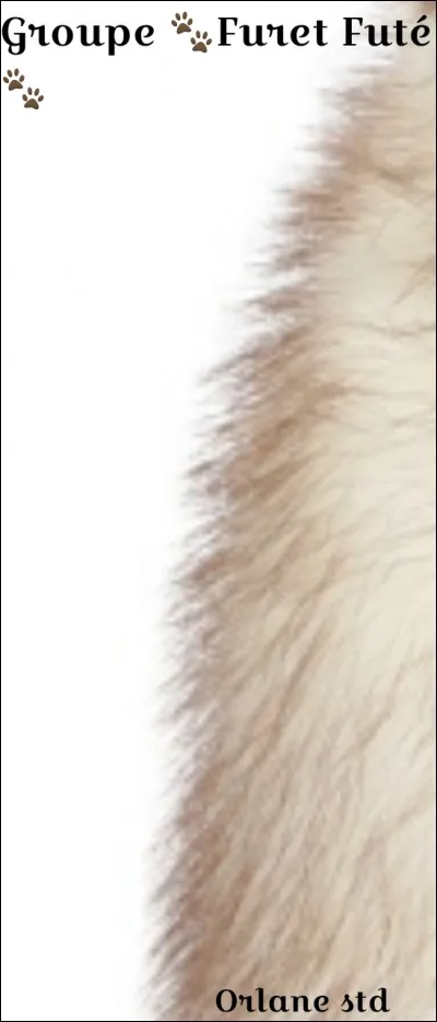 De quelle partie s'agit-il ?