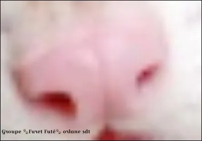 De quelle partie s'agit-il ?