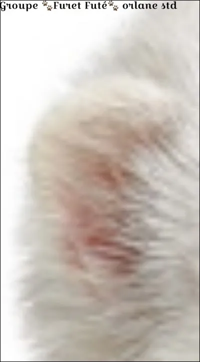 De quelle partie s'agit-il ?