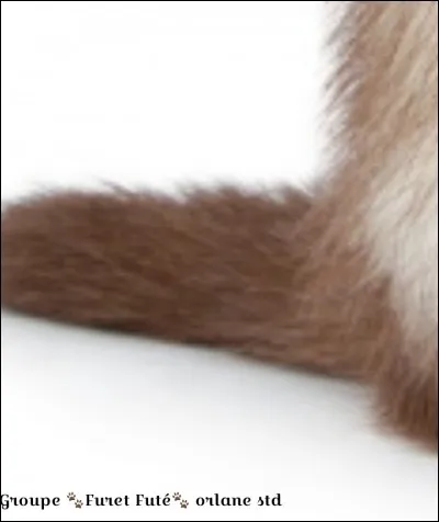 De quelle partie s'agit-il ?