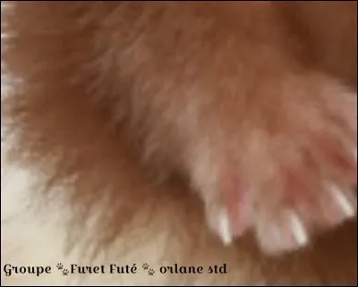 De quelle partie s'agit-il ?