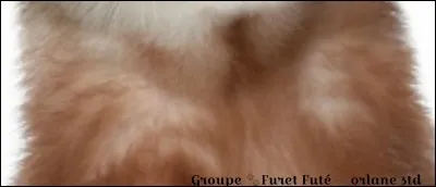 De quelle partie s'agit-il ?