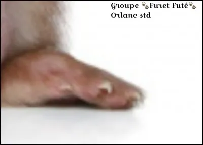 De quelle partie s'agit-il ?