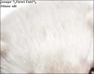 De quelle partie s'agit-il ?