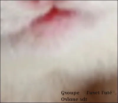 De quelle partie s'agit-il ?