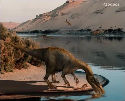 Sur quel continent vivait Baryonix ?