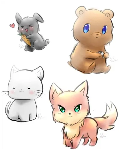 Ton animal préféré est :