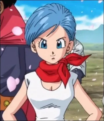 Comment s'appelle la femme de Vegeta ?
