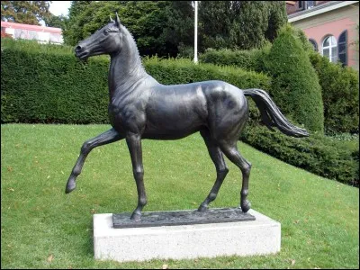 Quelle discipline pratiquait le célèbre Jappeloup ?