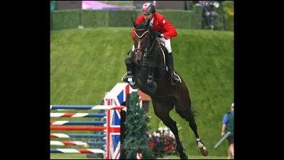 Ce cheval est mort en 2011 à la sortie de piste de la compétition à laquelle il prenait part, je veux parler du cheval que l'on considérait comme "le meilleur cheval du XXIe siècle" c'est de Hickstead que je parle, alors dans quelle discipline était il considéré comme le meilleur ?