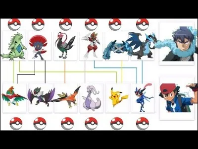 Qui est-ce qui combat Sacha en finale en Ligue Pokémon ?