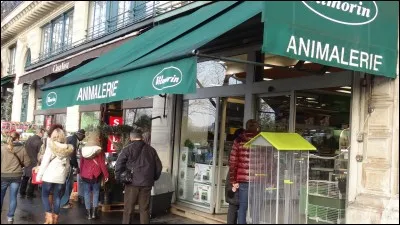 Dans une animalerie que fais-tu ?