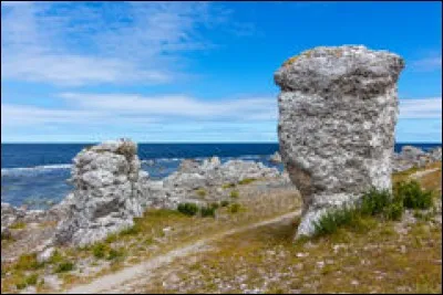 L'&icirc;le su&eacute;doise Gotland, l'&icirc;le estonienne Saaremaa et l'&icirc;le danoise Lollard comptent parmi les plus grandes &icirc;les de quelle mer ?