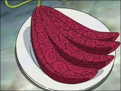 Qu'est-ce qui te manquerait le plus si tu avais mangé un Fruit du Démon ?