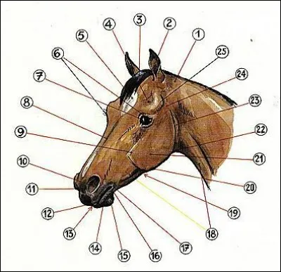 La partie numéro 2 est ...