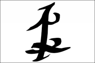 Quelle est cette rune ?