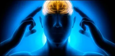 As-tu une grande habilité ainsi qu'une bonne capacité de concentration ?