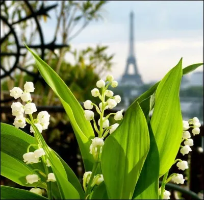 En France quand est la fête du travail ?