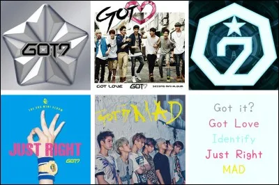 Quel a été leur premier album ?