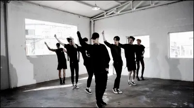 Qui est le danseur principal ?