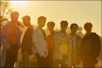 Quel(s) membre(s) ne sont pas Coréens ?