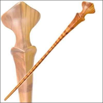 La propriétaire de cette baguette est une ...