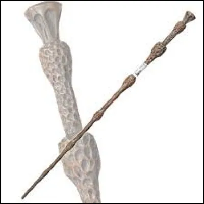 Quel est le coeur de cette baguette ?