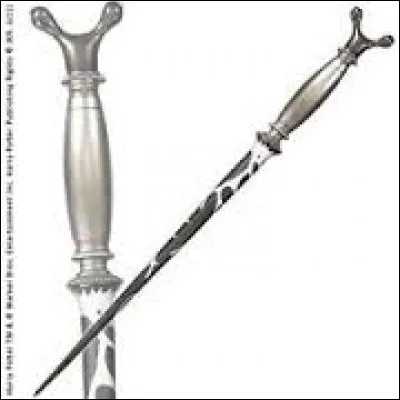 Qui cette baguette a-t-elle choisi ?