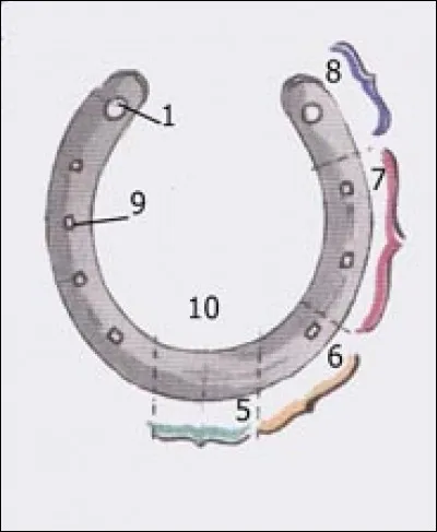 Et la partie numéro 10 s'appelle ...