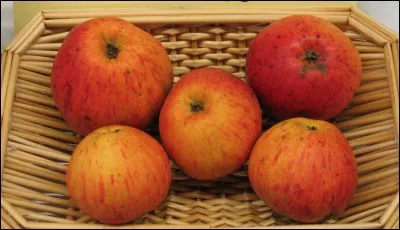 Quelle est cette pomme ?