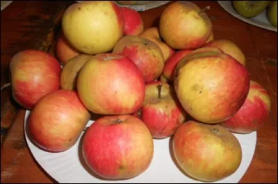 Quelle est cette pomme ?