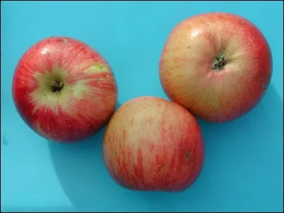 Quelle est cette pomme ?