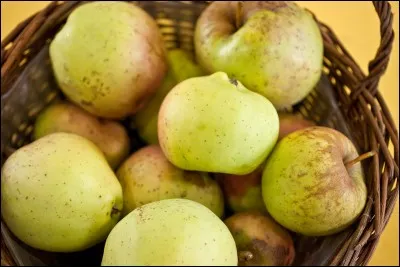 Quelle est cette pomme ?