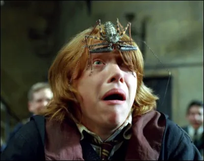 Quelle est la phobie de Ron Weasley ?
