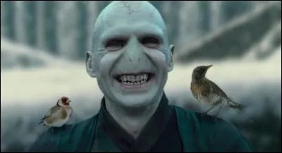 Quel est le véritable nom de lord Voldemort ?