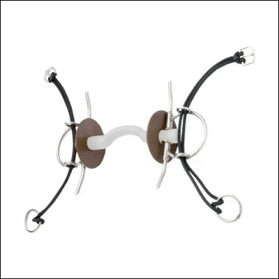 Le nom de ce mors est :