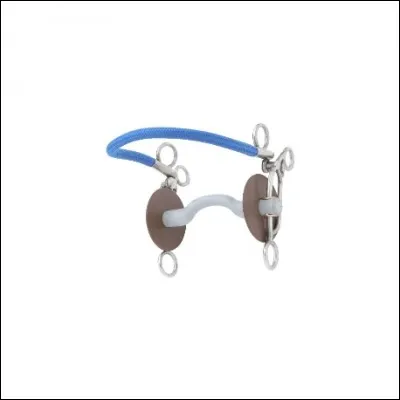 Le nom de ce mors est :