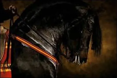 Comment surnomme-t-on le frison ?